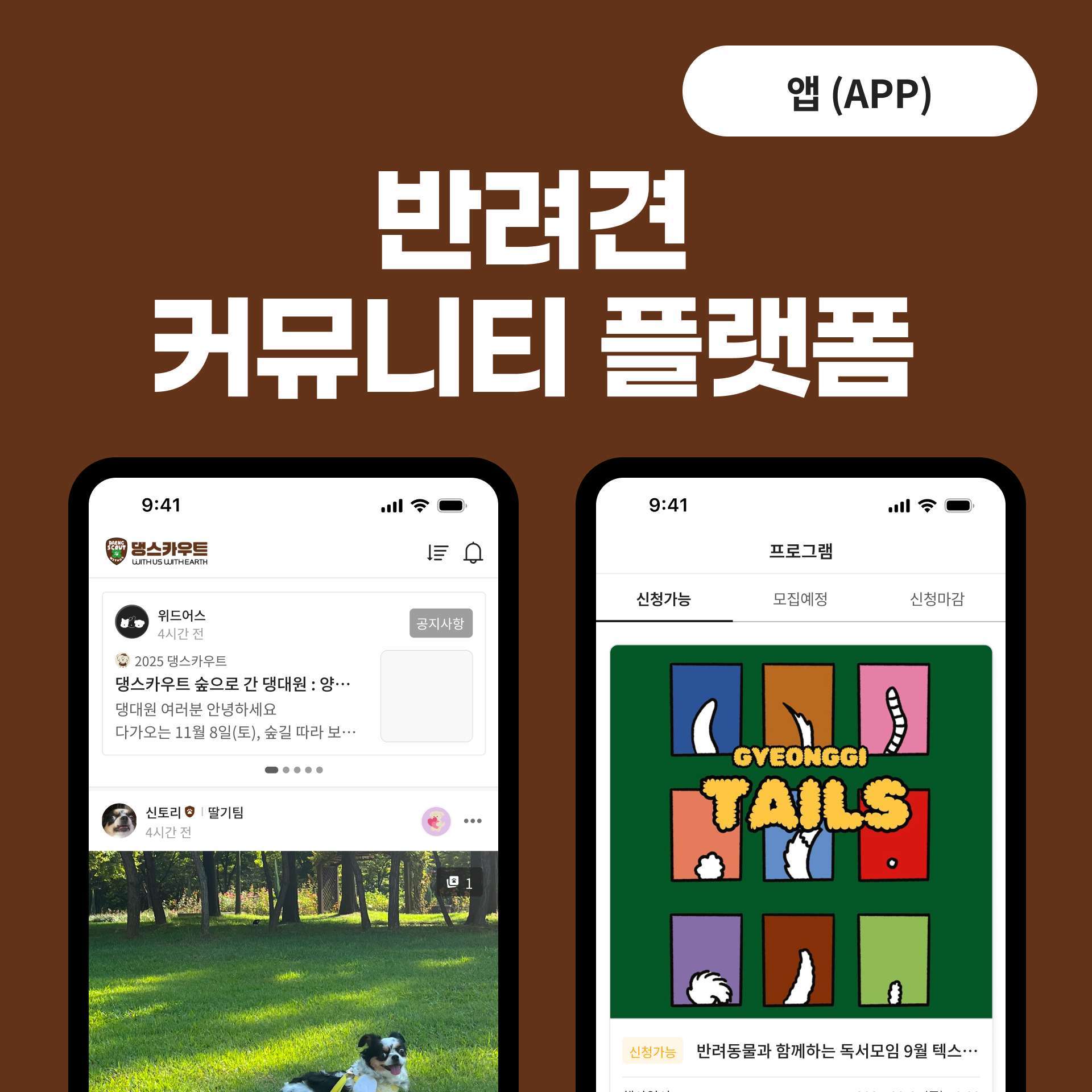 반려견 참여형 커뮤니티 플랫폼